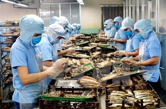 附圖：2018年前兩月越南水產品出口額同比增長近30%。（圖片來源：越通社）